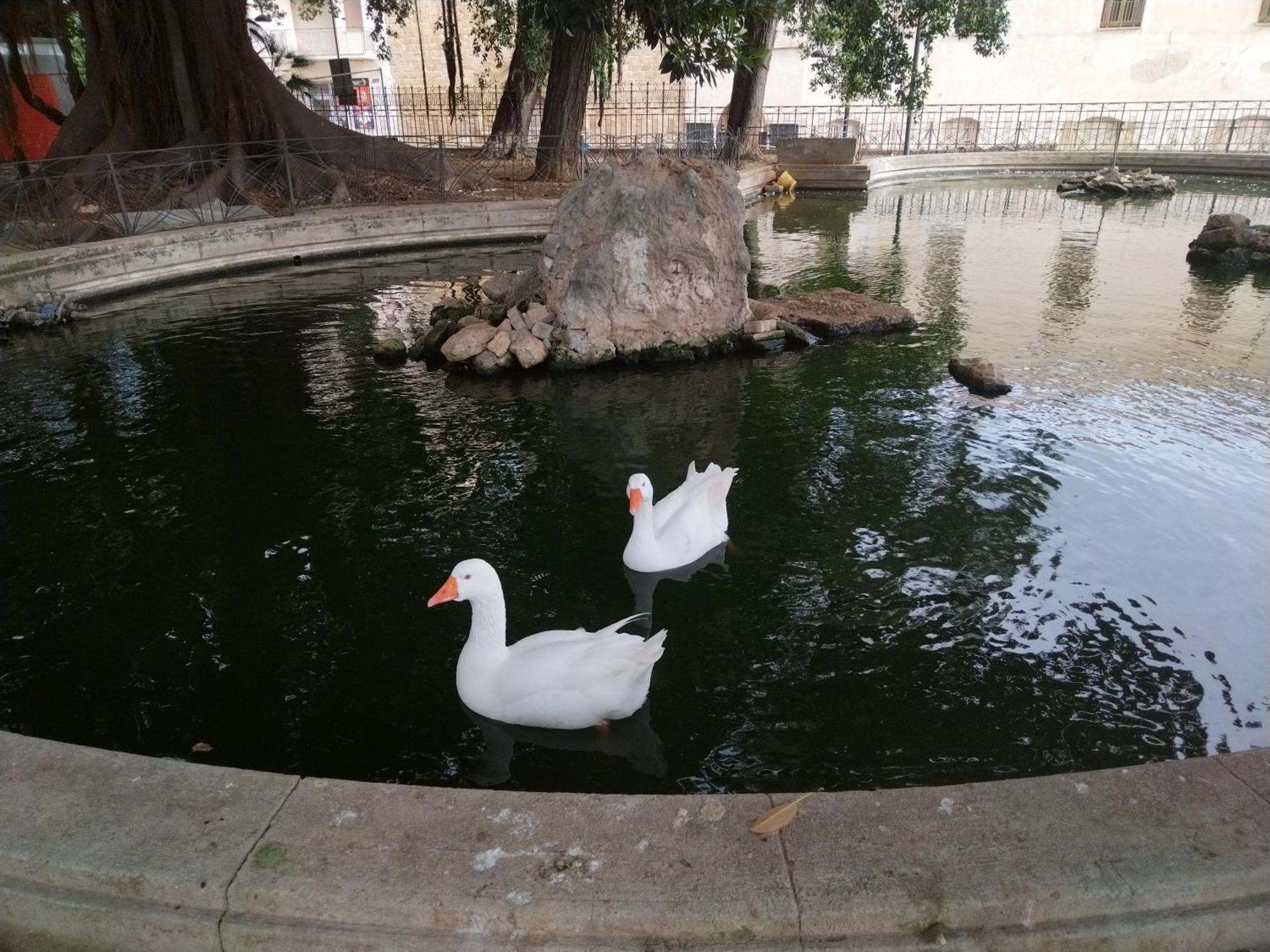 Willa La Casuzza Del Centro Sciacca Zewnętrze zdjęcie