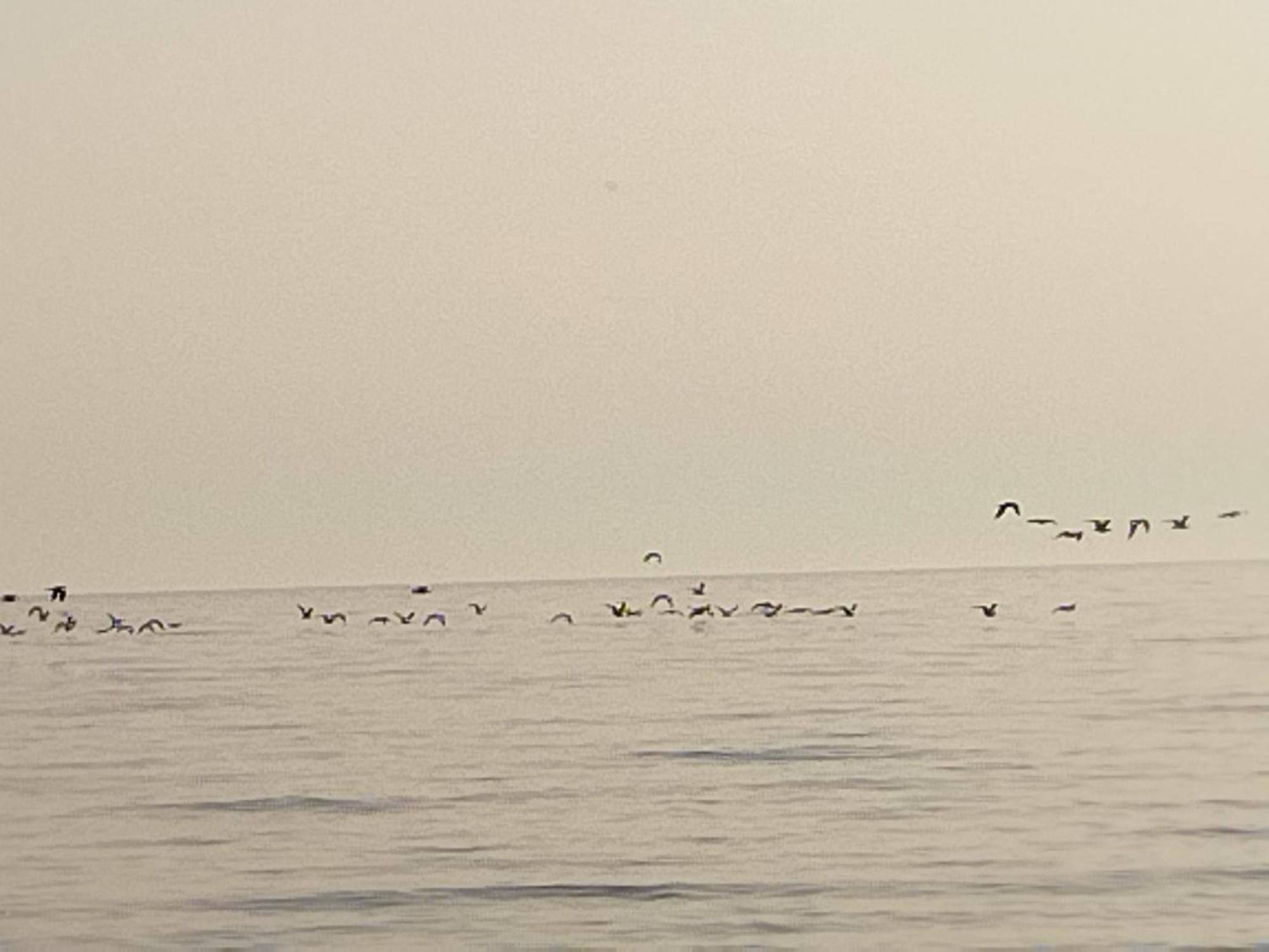Willa La Casuzza Del Centro Sciacca Pokój zdjęcie